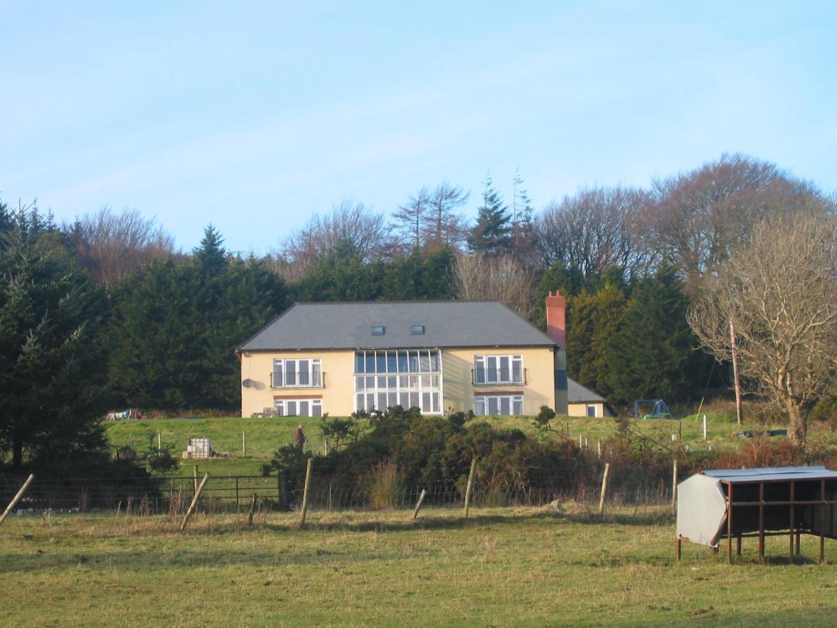The Dales Bed & Breakfast Gorey Dış mekan fotoğraf